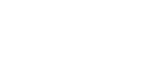Dynamic Meters — Medidores de Gas LP